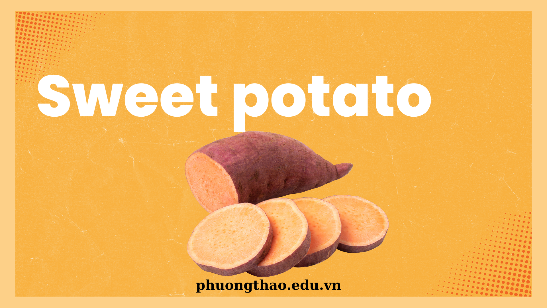 sweet potato english speaking
