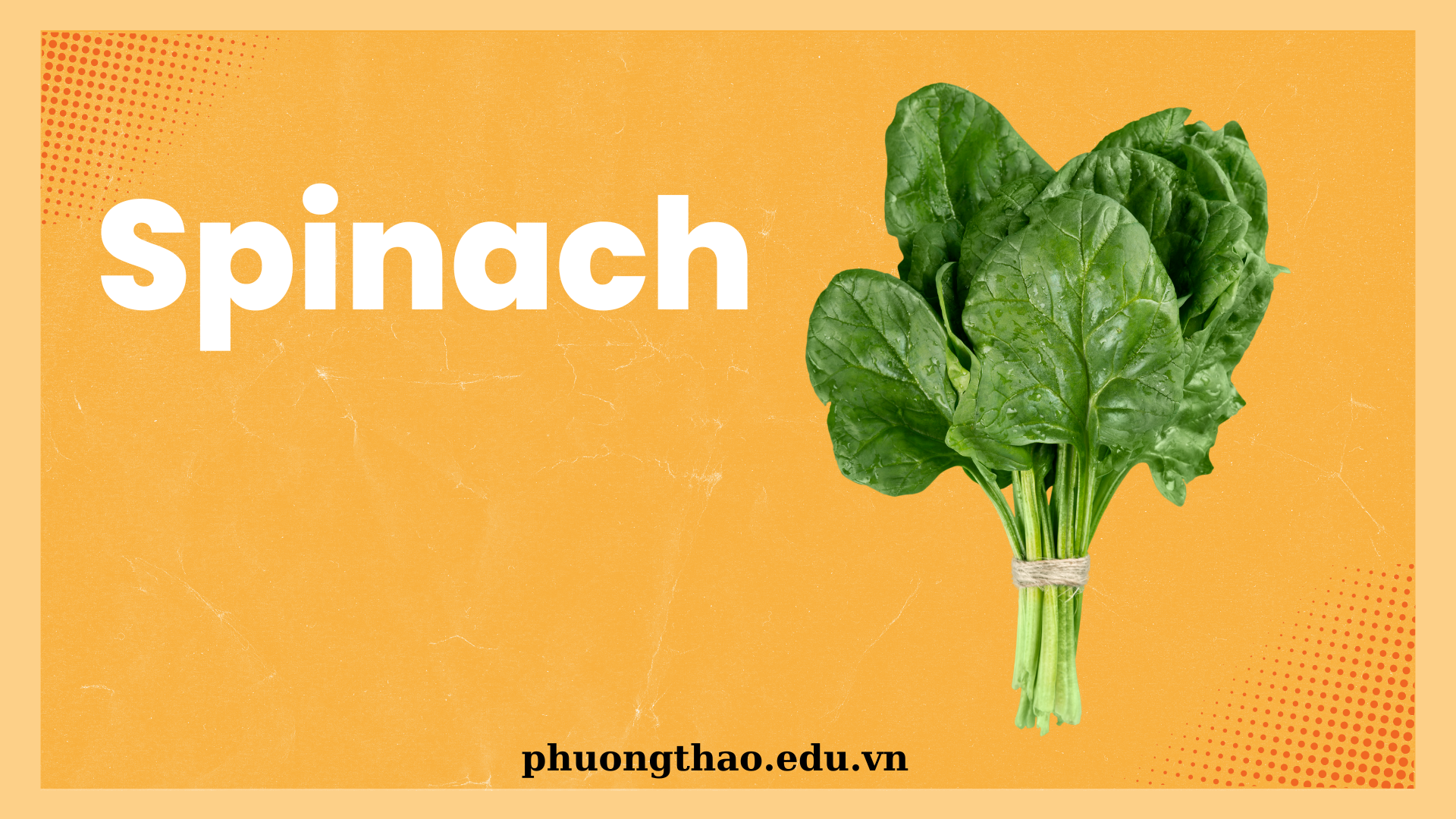 Spinach