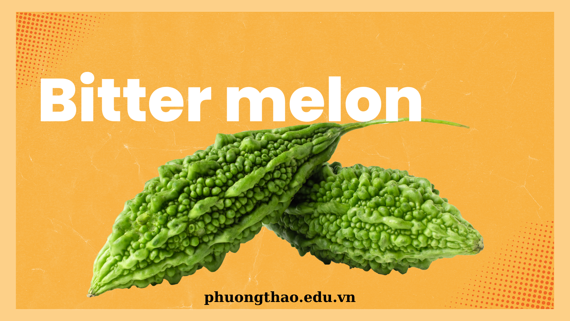 Bitter melon